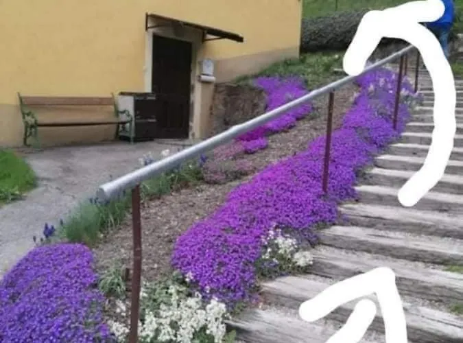 Palma 2 아파트 Schottwien